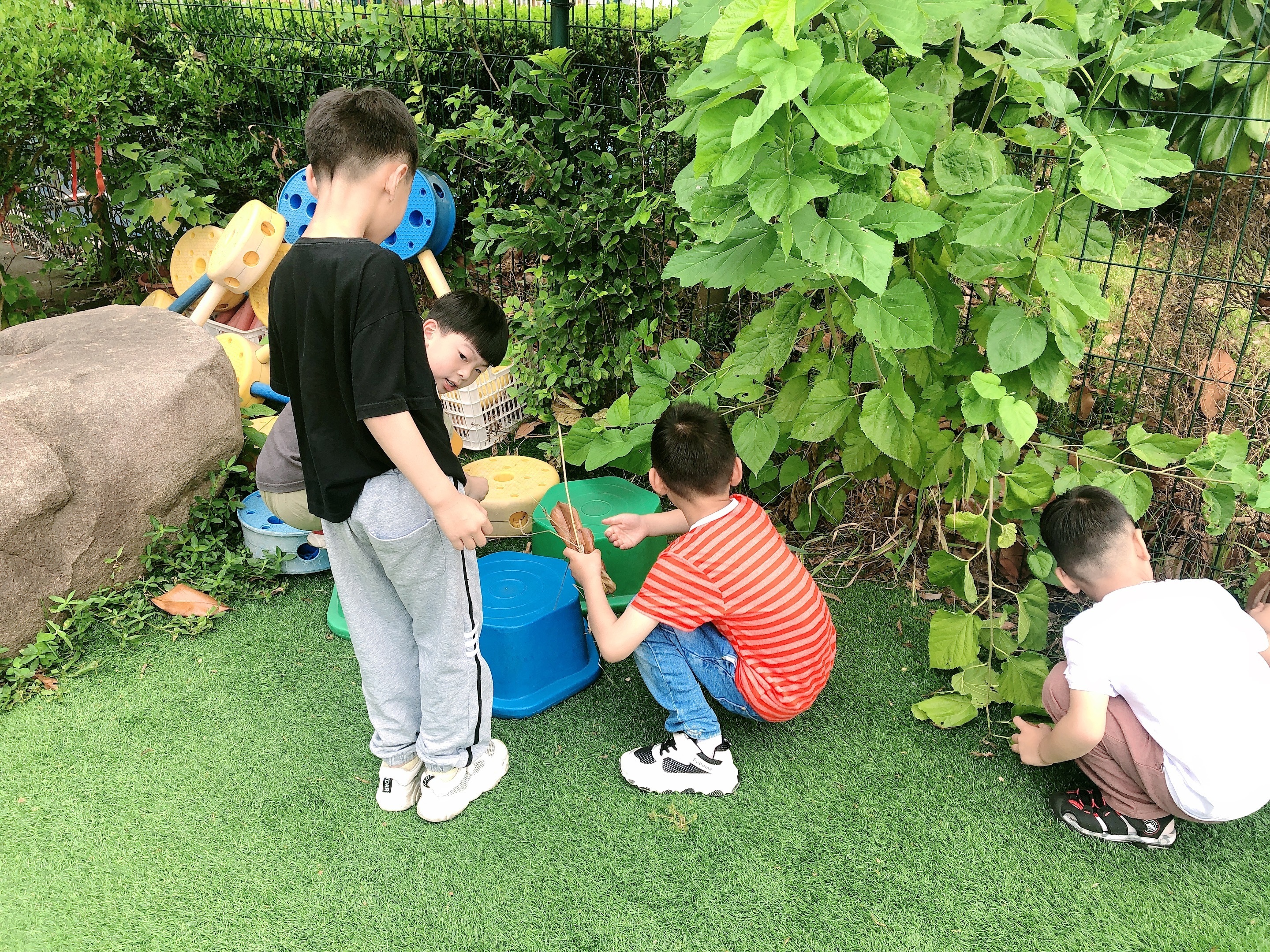 被蛇咬后怎么自救？湛江蛇伤救治专家划重点