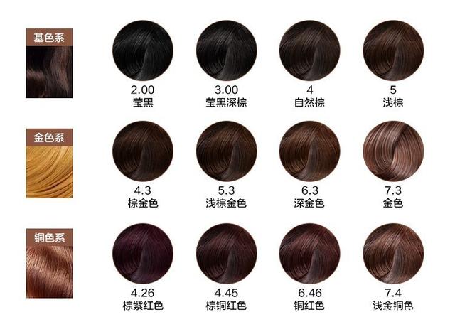 独立候选人纳夫罗茨基赢得波兰总统选举