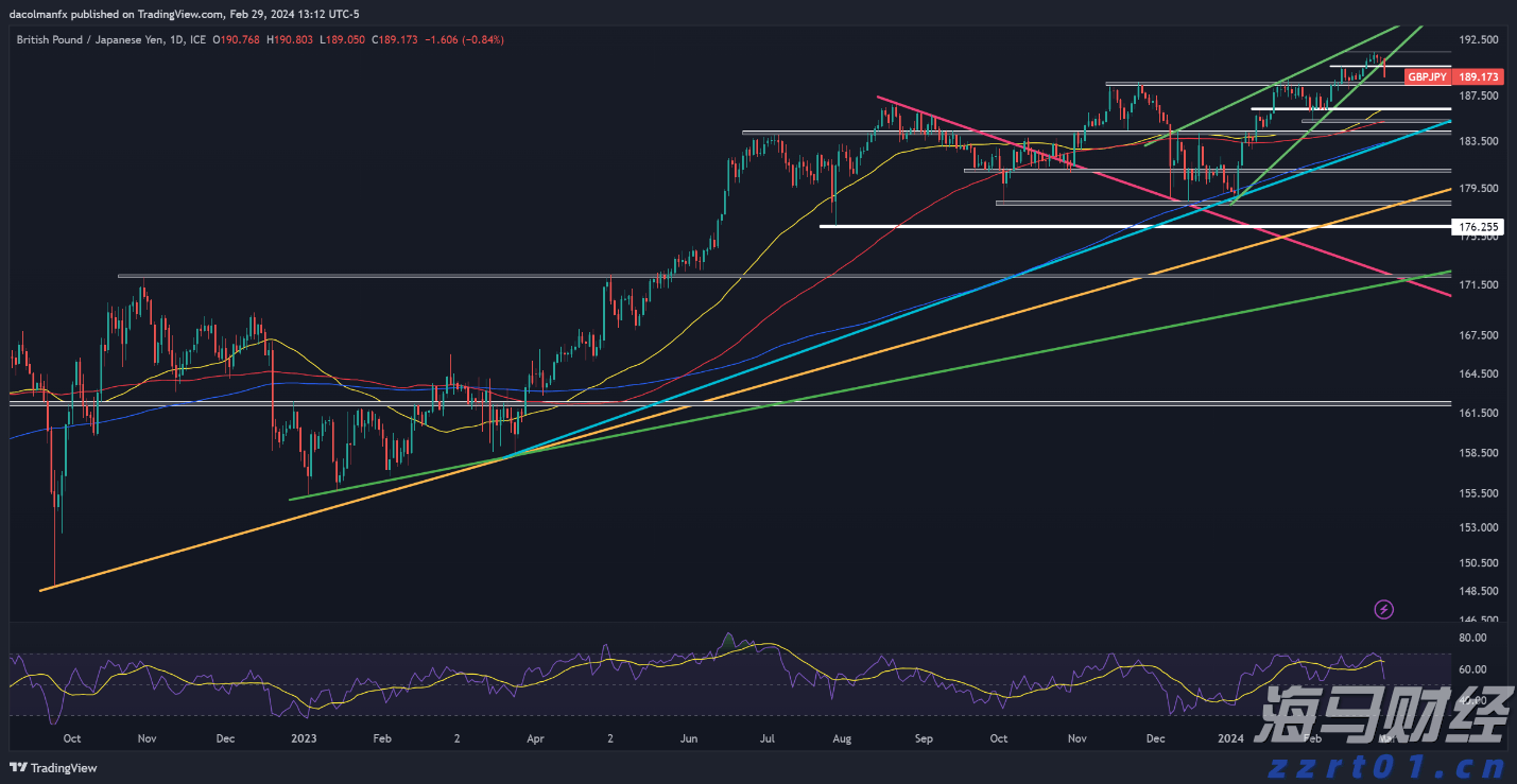 优服务强支撑 湛江市构建“近悦远来”人才生态