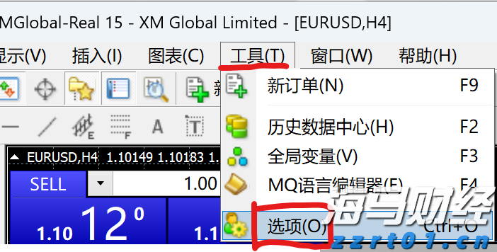 岭师健儿闪耀省大运会赛场